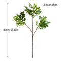 Rama Decorativa de Ficus y Follaje Verde