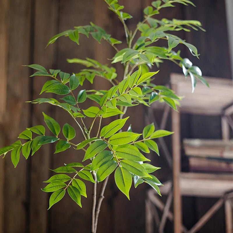 Rama Decorativa de Ficus y Follaje Verde