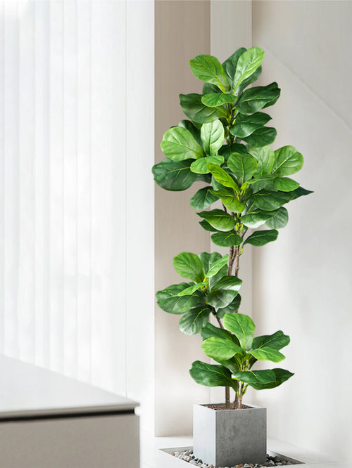 Árbol de Ficus Artificial de Hojas de Violín